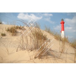 Phare de la Coubre Royan...